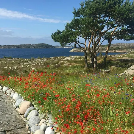 With Sunny Terraces And Sea Views Prázdninový dům Lysøysund