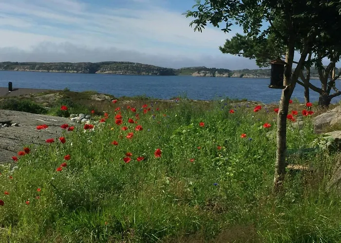 With Sunny Terraces And Sea Views *