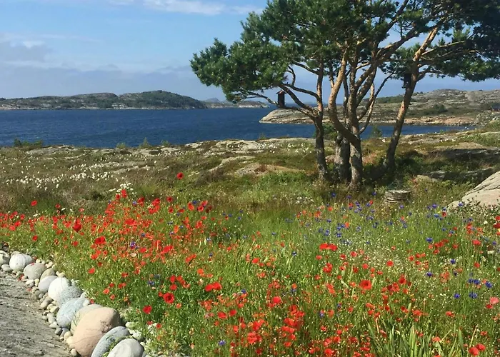 With Sunny Terraces And Sea Views Feriehus Lysøysund