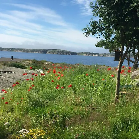 With Sunny Terraces And Sea Views Feriehus