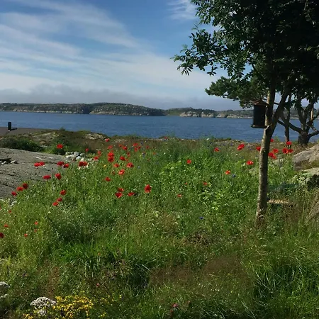 With Sunny Terraces And Sea Views *